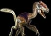 Dinosaurier - Gigantismus der Urzeit